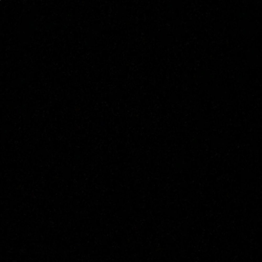 Meet your Posher, Martha